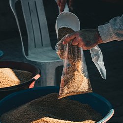 SEEDTIME AND HARVEST FARMS (SETAHF) 14